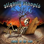 Slightly Stoopid - Basher