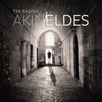Tek Başına - Akin Eldes