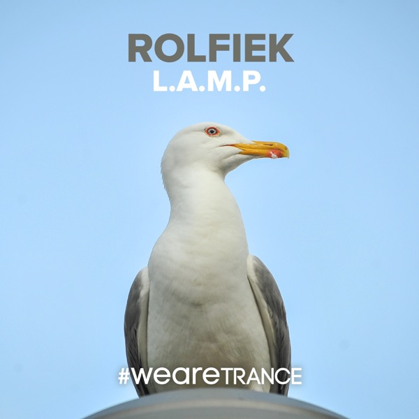 L.A.M.P. - Single