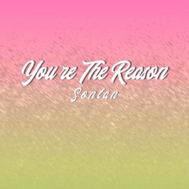 You're the Reason Sonlan