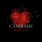 Cámbiame (feat. Lil Lion & Pech Beef) - Cat Lira lyrics