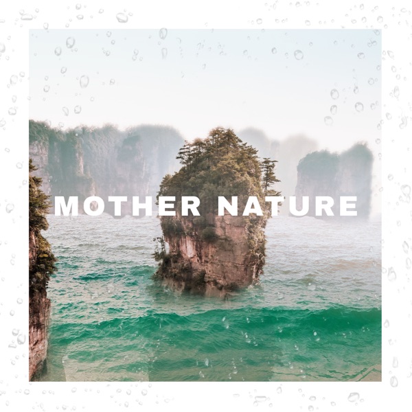 Mother Nature Beach Birds - Single