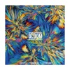 Bloom - Single