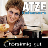 Atze Schröders Kaltstart - Atze Schröder