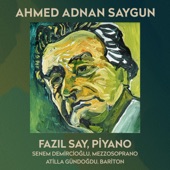 Ahmed Adnan Saygun (Türk Bestecileri Serisi, Vol. 5) artwork