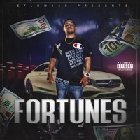 Fortunes - Eflow420
