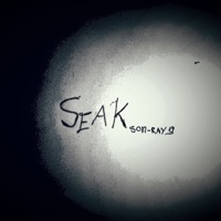 Seak - Single - son-ray g