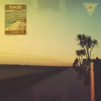 Space Cowboy — Saib