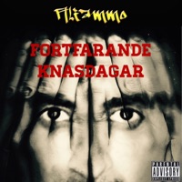 Fortfarande Knasdagar - Single - Aliammo