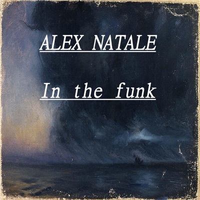 In the funk (Extended mix) - Single
