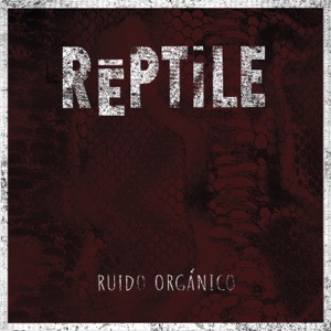 Ruido Orgánico