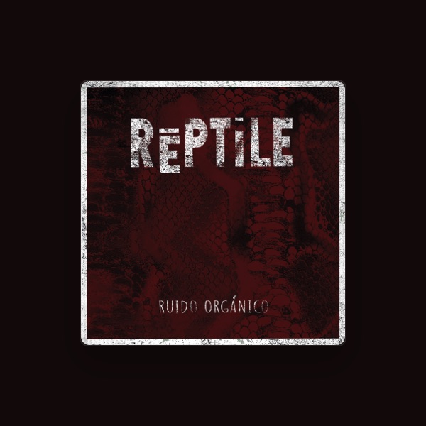 Reptile's avatar