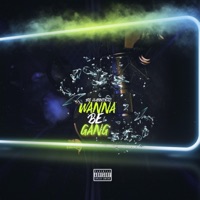 Wanna Be Gang (feat. Lil Boo & Flav) - Single - Bg Hannibal
