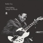 Buddy Guy - First Time I Met The Blues