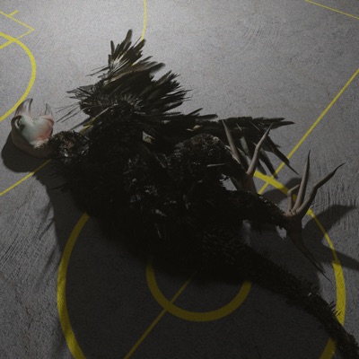 Flightless Birds - EP