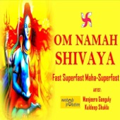 Om Namah Shivaya 108 Times in 2 Minutes artwork