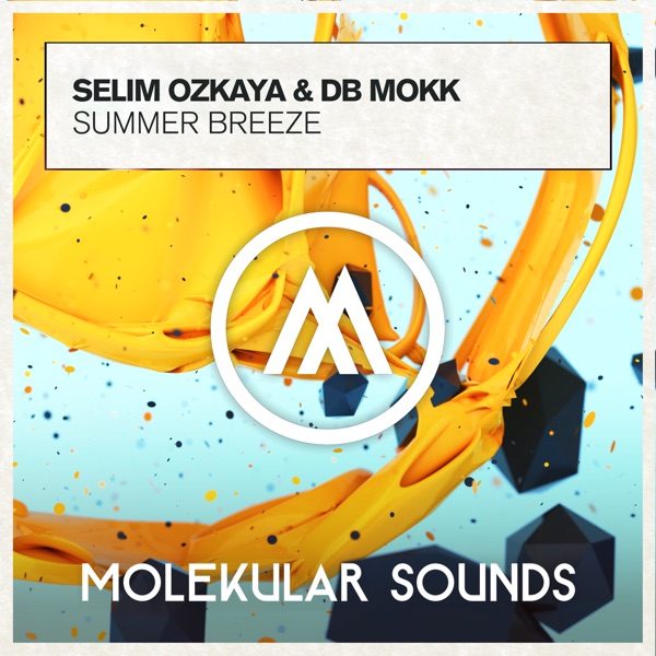 Summer Breeze - Single