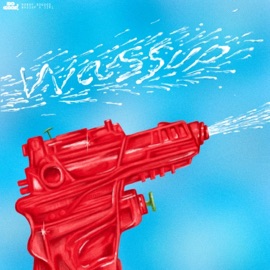 Wassup (feat. Jzrl) Ronny DoGood