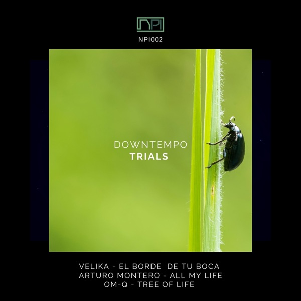 Downtempo Trials - Single