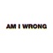 Am I Wrong (DJ Pierre 'Wildpitch' Remix) - Etienne de Crécy lyrics