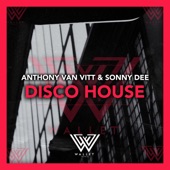 Disco House (Extended Mix) artwork