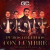 Puros Corridos Con Lumbre Corridos de Encargo