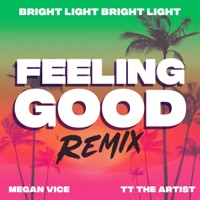 Feeling Good (feat. TT the Artist) [Bright Light Bright Light Remix] [Bright Light Bright Light Remix] - Single - Megan Vice
