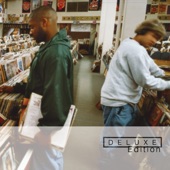 DJ Shadow - Building Steam With A Grain Of Salt