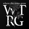 Where The Roses Grow - Tiscore lyrics