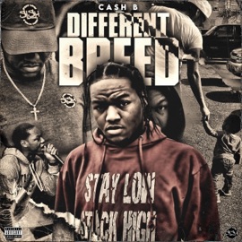 TALKIN CRAZY (feat. China Mac) Cash B