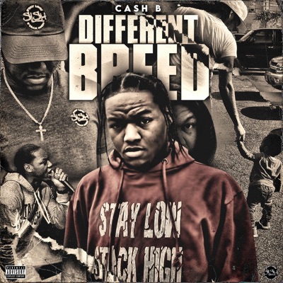 Different Breed