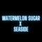 Watermelon Sugar X Seaside (Remix) artwork