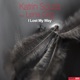 I Lost My Way feat Lena Grig Single