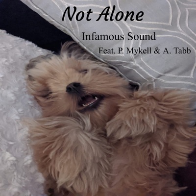 Not Alone (feat. Adam Tabb & P. Mykell) - Single