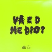 VA E D ME DIG? artwork