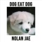 Dog Eat Dog artwork