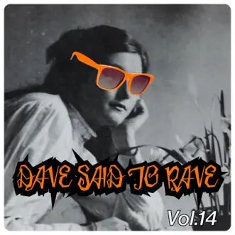 Dave Said To Rave, Vol. 14 by Various Artists album reviews, ratings, credits