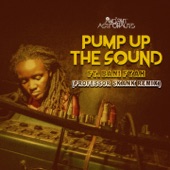 Ancient Astronauts - Pump up the Sound ft. Bani Fyah (Professor Skank Remix)