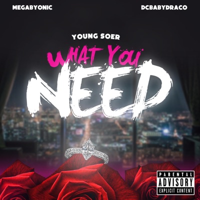 What You Need (feat. Megabyonic & Dc Babydraco) - Single