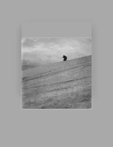 Listen to Paysage d'Hiver, watch music videos, read bio, see tour dates & more!