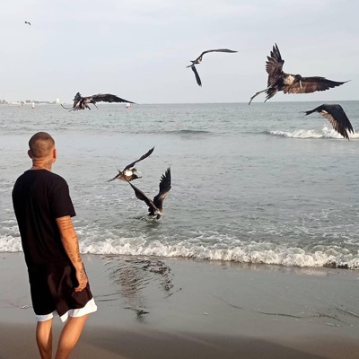 Sigo mi vida - Single