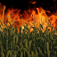 Cornfield on Fire (feat. Krizz Kaliko) - Single - Demun Jones & Burn County
