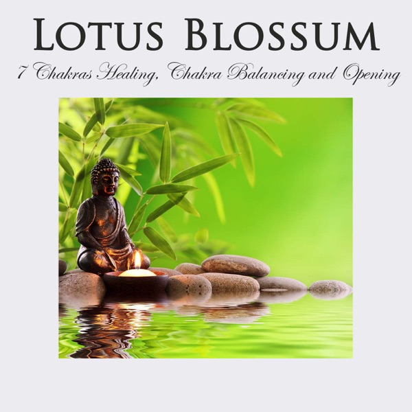 Lotus Blossom: 7 Chakras Healing, Chakra Balancing and Opening