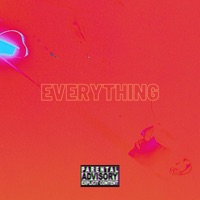 Everything - Single - Zone