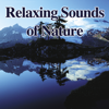 Relaxing Sounds of Nature - John Grout