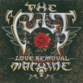 Love Removal Machine (Radio Edit) artwork