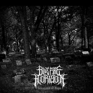 Graveyard of Hope (feat. Jacob Towns) - Single