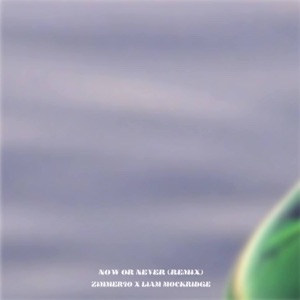 Now Or Never (Liam Mockridge Remix)