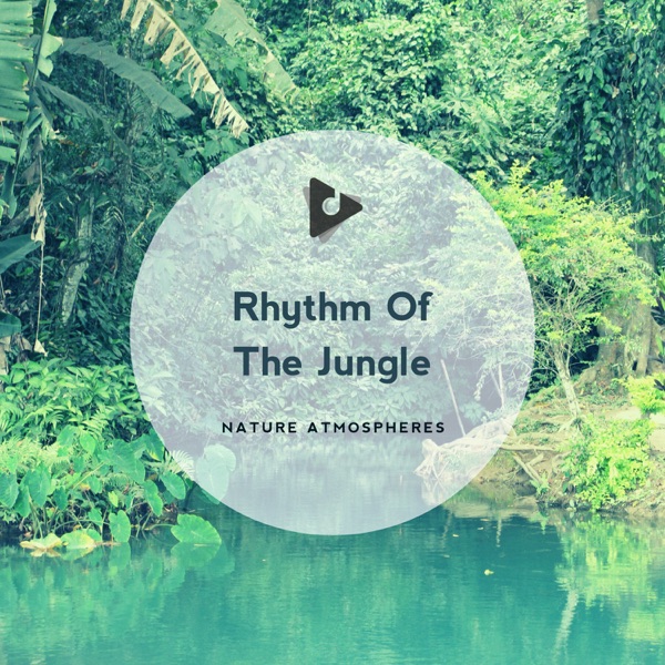 Rhythm of the Jungle