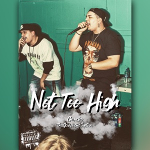 Not Too High (feat. ThatKidWithaSeptum)